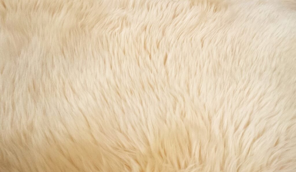 goat hair, fur, animal